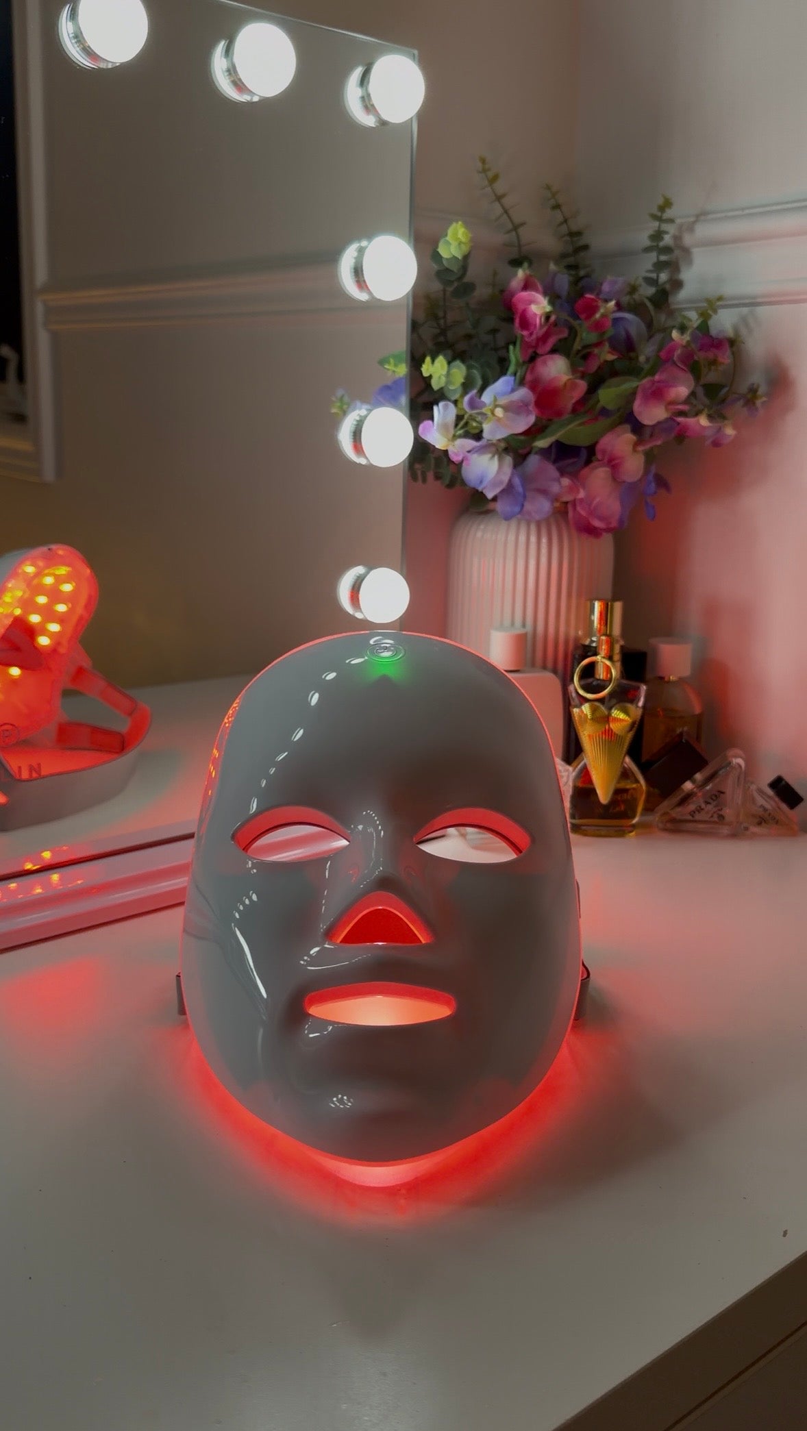 Premium LED Facial Mask